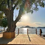 Sezz Wellness Adult Only Hotel Yalıkavak