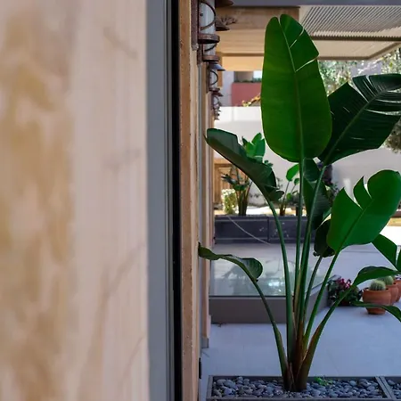 Sezz Wellness Adult Only Hotell *