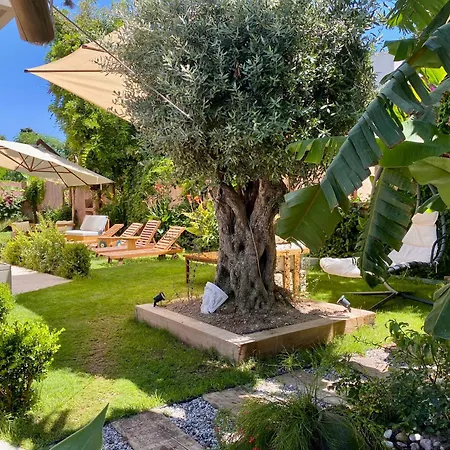 Sezz Wellness Adult Only Hotell *