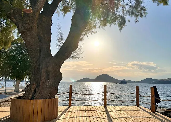 Sezz Wellness Adult Only ホテル Yalıkavak