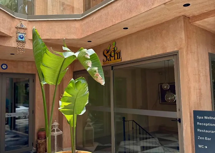 Sezz Wellness Adult Only *