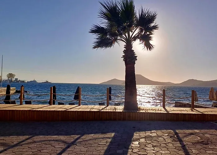 Sezz Wellness Adult Only *