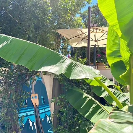 Sezz Wellness Adult Only فندق *