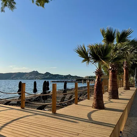 Sezz Wellness Adult Only فندق