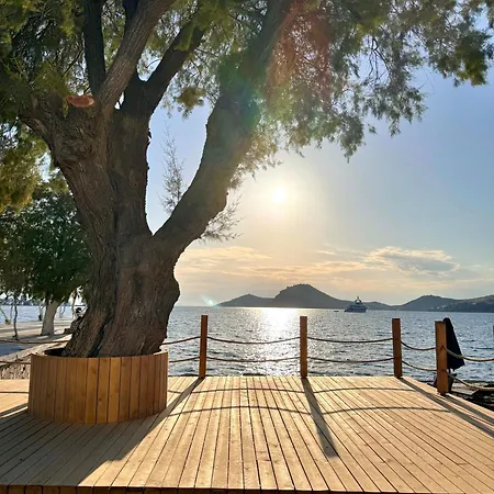 Sezz Wellness Adult Only Hotel Yalıkavak