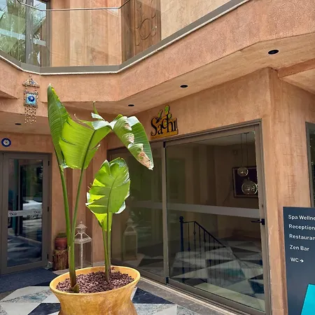 Sezz Wellness Adult Only *