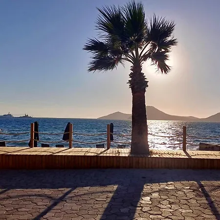 Sezz Wellness Adult Only *