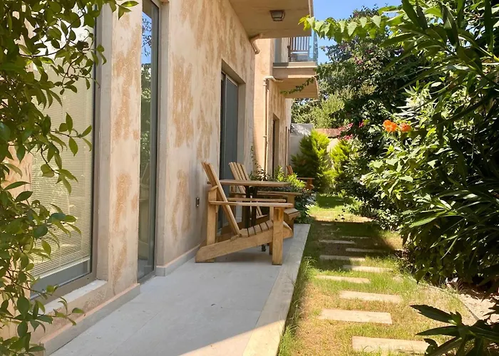 Sezz Wellness Adult Only *