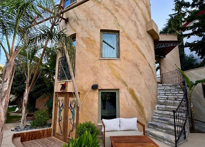 Sezz Wellness Adult Only *